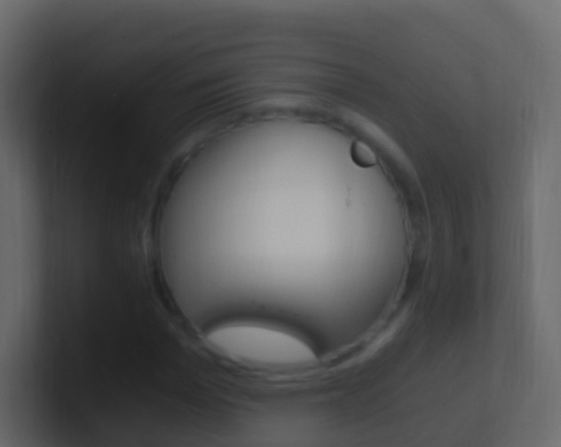 X0000101430969200807071002