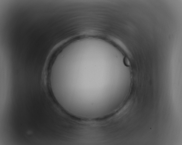 X0000101430971200807071002