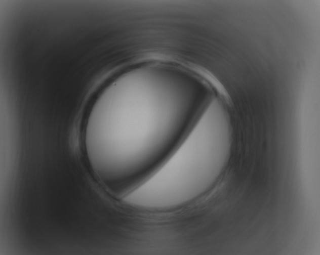 X0000101430972200807071002