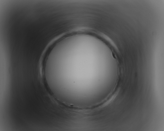X0000101430973200807071002