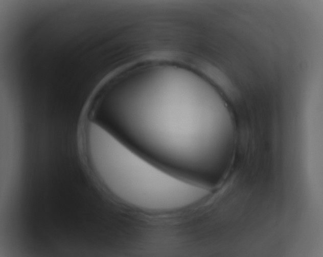 X0000101430976200807071002