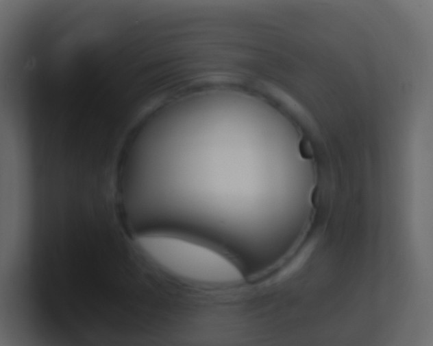 X0000101430977200807071002