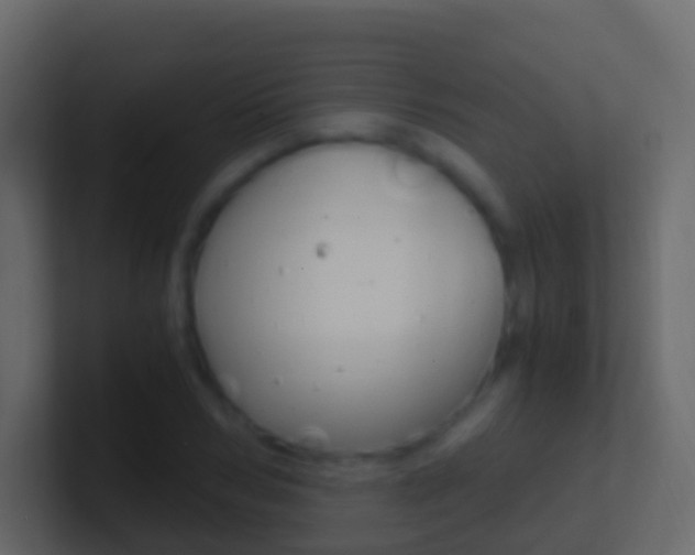 X0000101430978200807071002