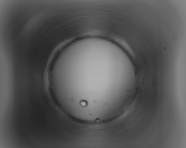 X0000101430979200807071001