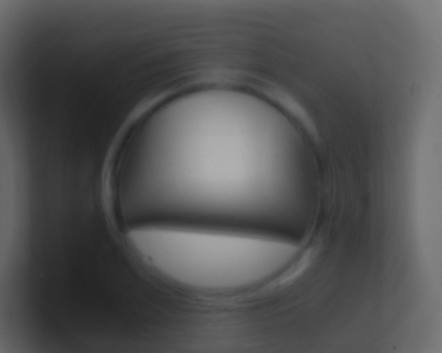 X0000101430981200807071001