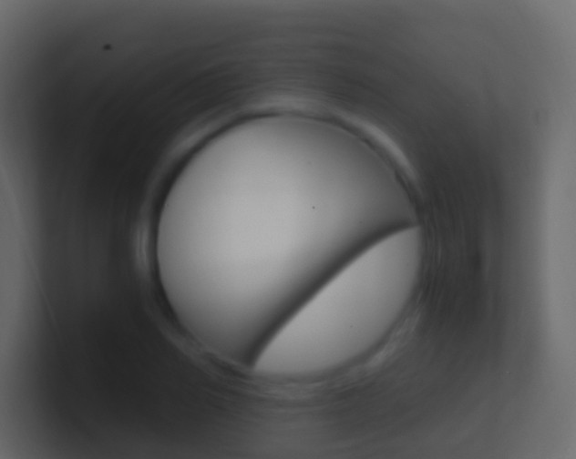 X0000101430982200807071001