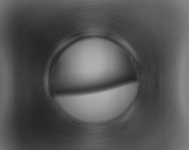 X0000101430983200807071001