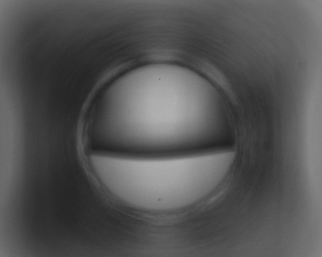 X0000101430984200807071001