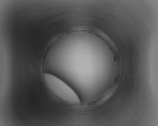 X0000101430985200807071001