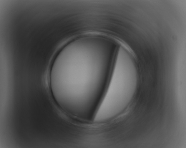 X0000101430988200807071001