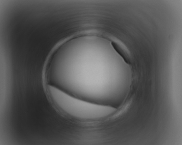 X0000101430989200807071001