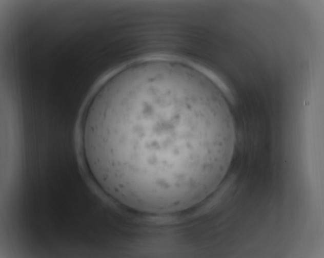 X0000101430998200807071001