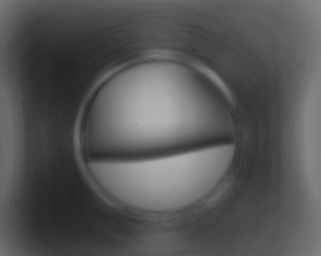 X0000101430999200807071001