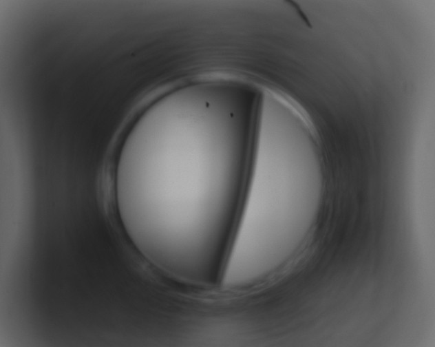 X0000101431000200807071001