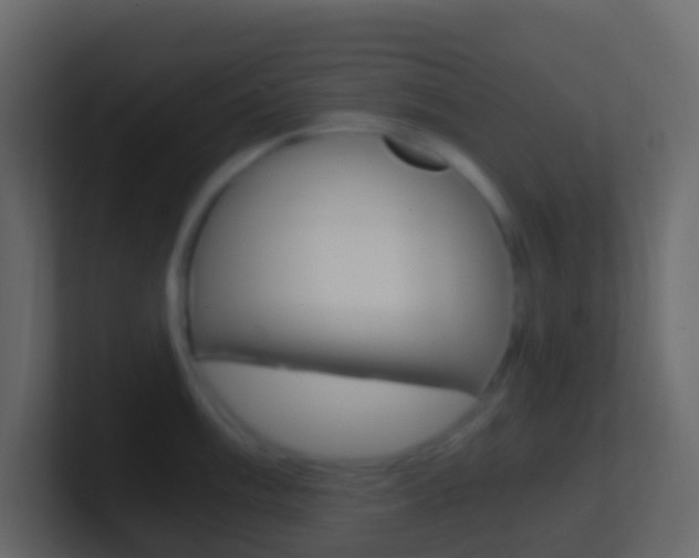 X0000101431003200807071001