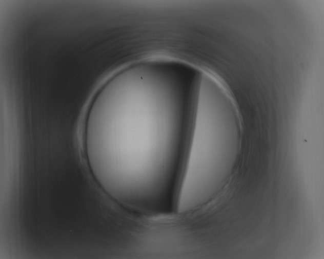 X0000101431008200807071001