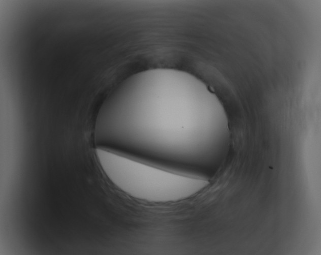 X0000101431010200807071000