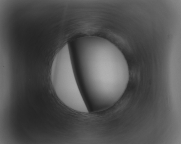 X0000101431012200807071000