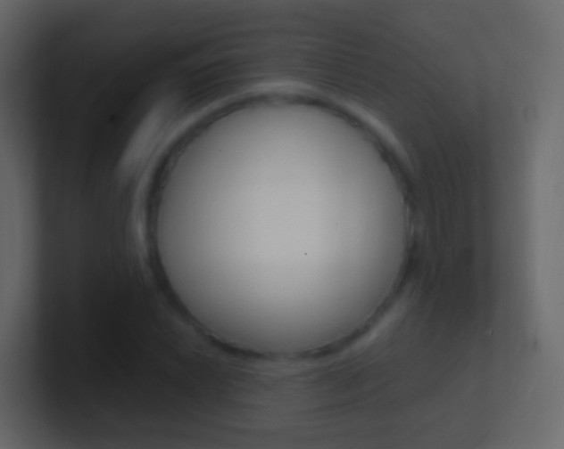 X0000101431022200807071001
