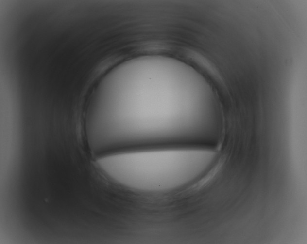 X0000101431025200807071001