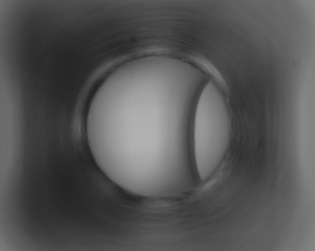 X0000101431027200807071001