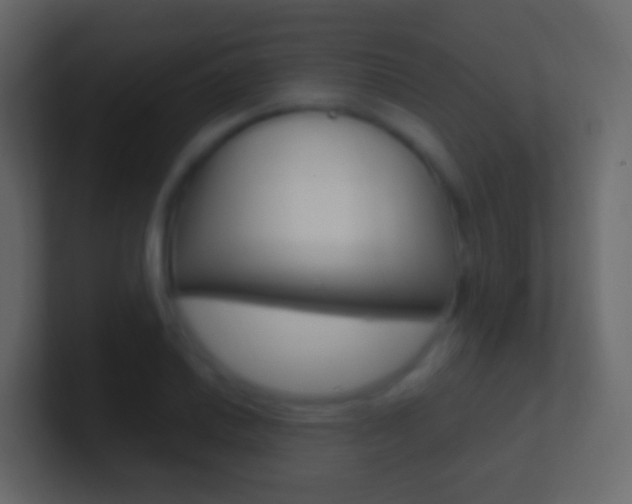 X0000101431030200807071001