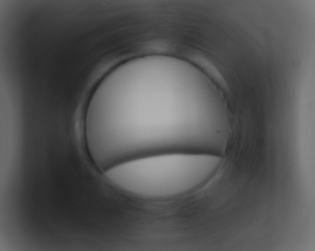 X0000101431031200807071001