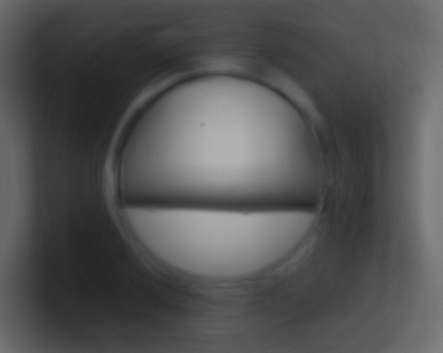 X0000101431032200807071001