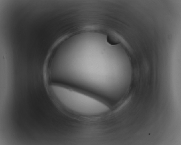 X0000101431034200807071001
