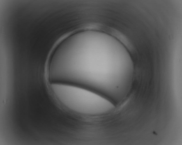X0000101431036200807071001