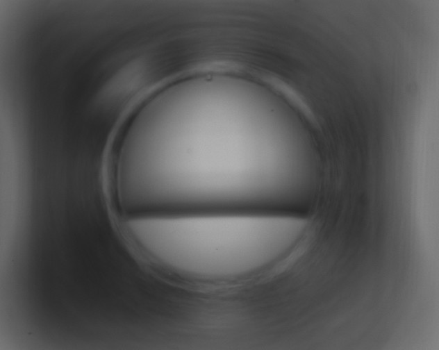 X0000101431038200807071001
