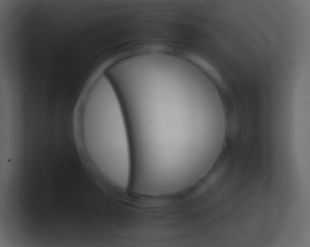 X0000101431039200807071001