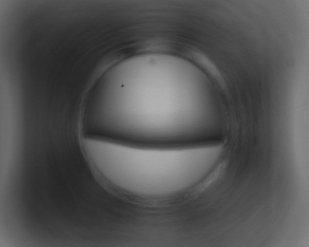 X0000101431041200807071001