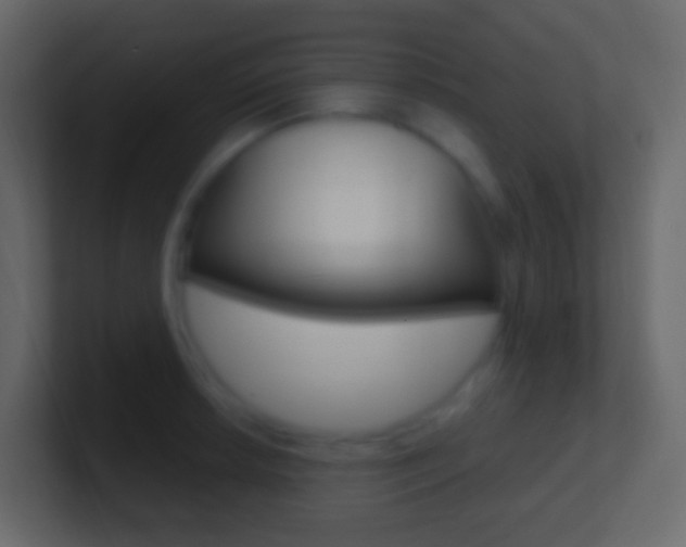 X0000101431042200807071001