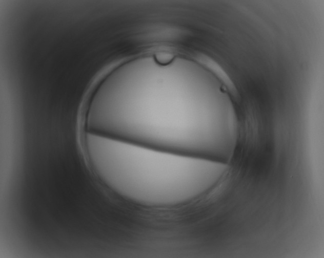 X0000101431043200807071001