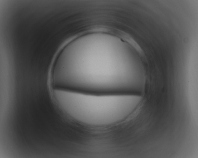 X0000101431044200807071001