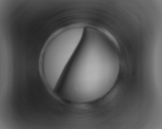 X0000101431045200807071001