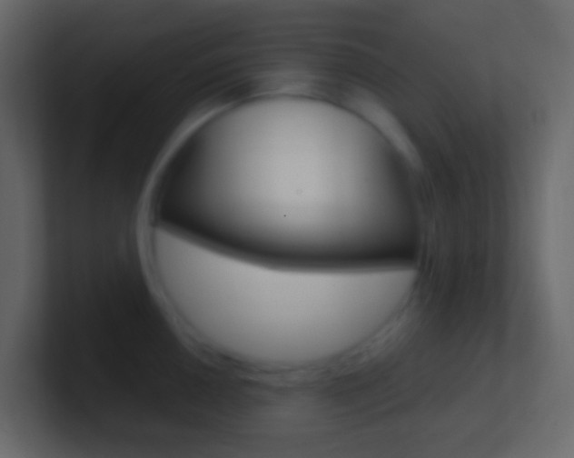 X0000101431050200807071001