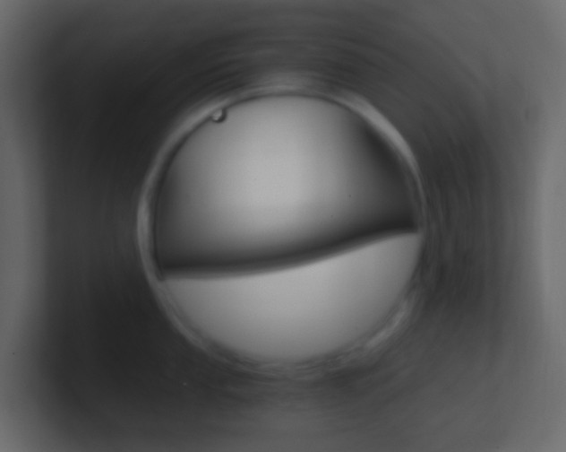 X0000101431053200807071001