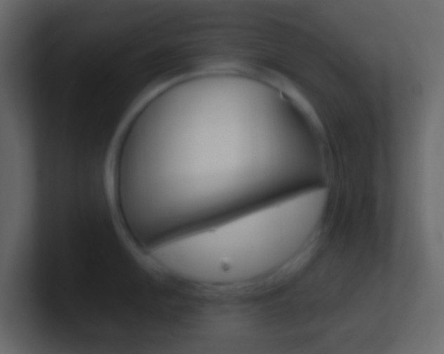 X0000101431054200807071001