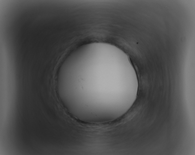 X0000101431057200807071000