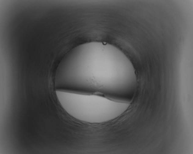 X0000101431058200807071000