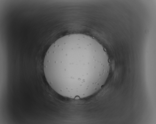 X0000101431059200807071000