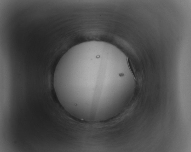 X0000101431060200807071000