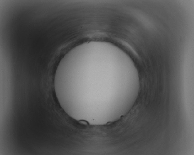 X0000101431063200807071000