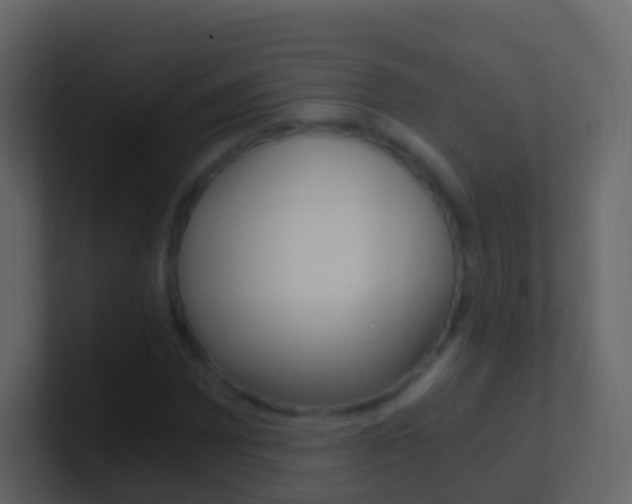 X0000101431065200807071000