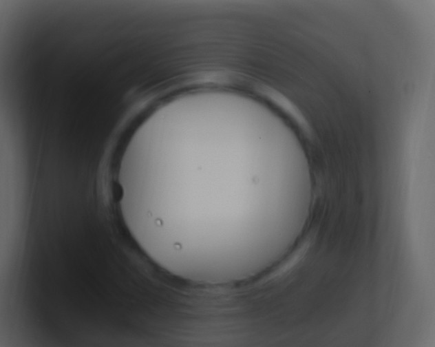 X0000101431067200807071000