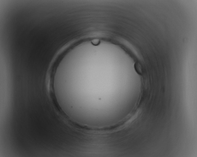 X0000101431069200807071000
