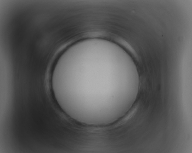 X0000101431071200807071000