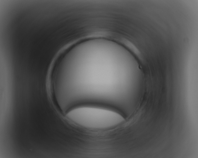 X0000101431072200807071000